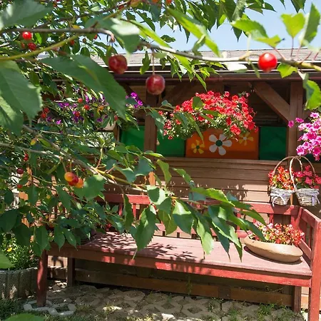 Privat Jonas * Штрба